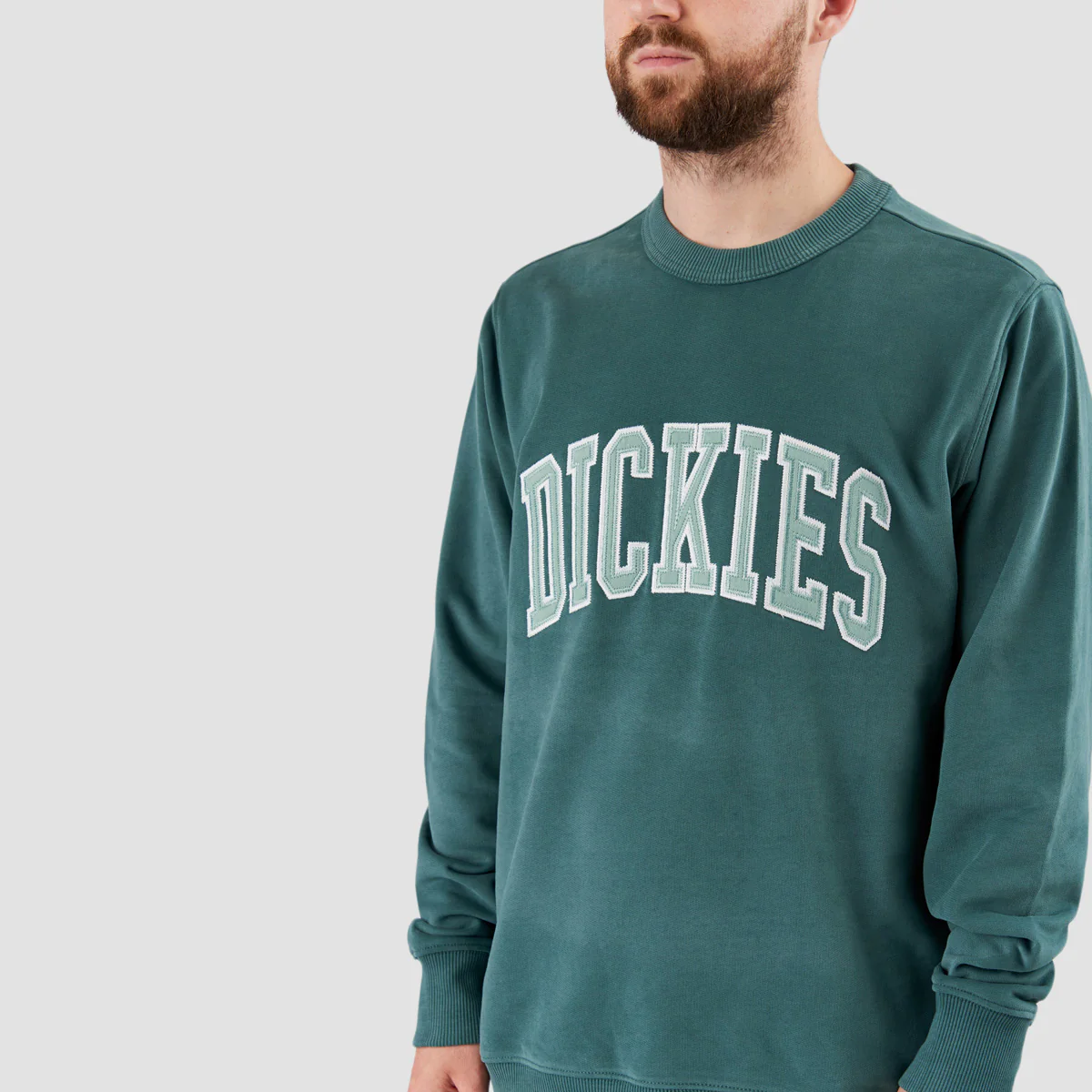 Dickies Aitkin Sweatshirt Lincoln Green/Surf Blue - Image 2