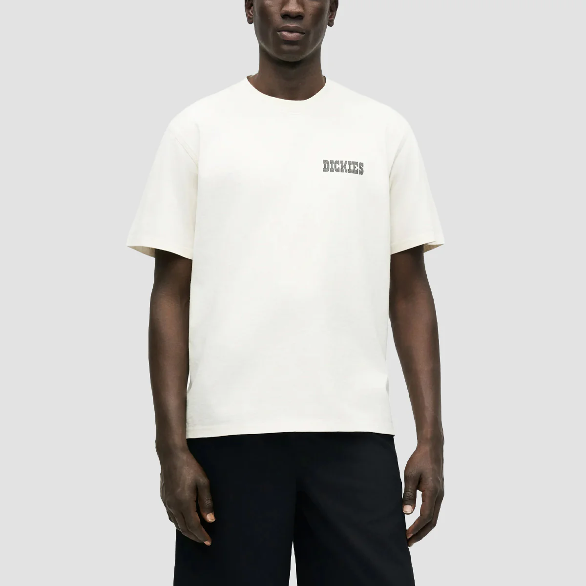 Dickies Buchtell T-Shirt Egret - Image 2