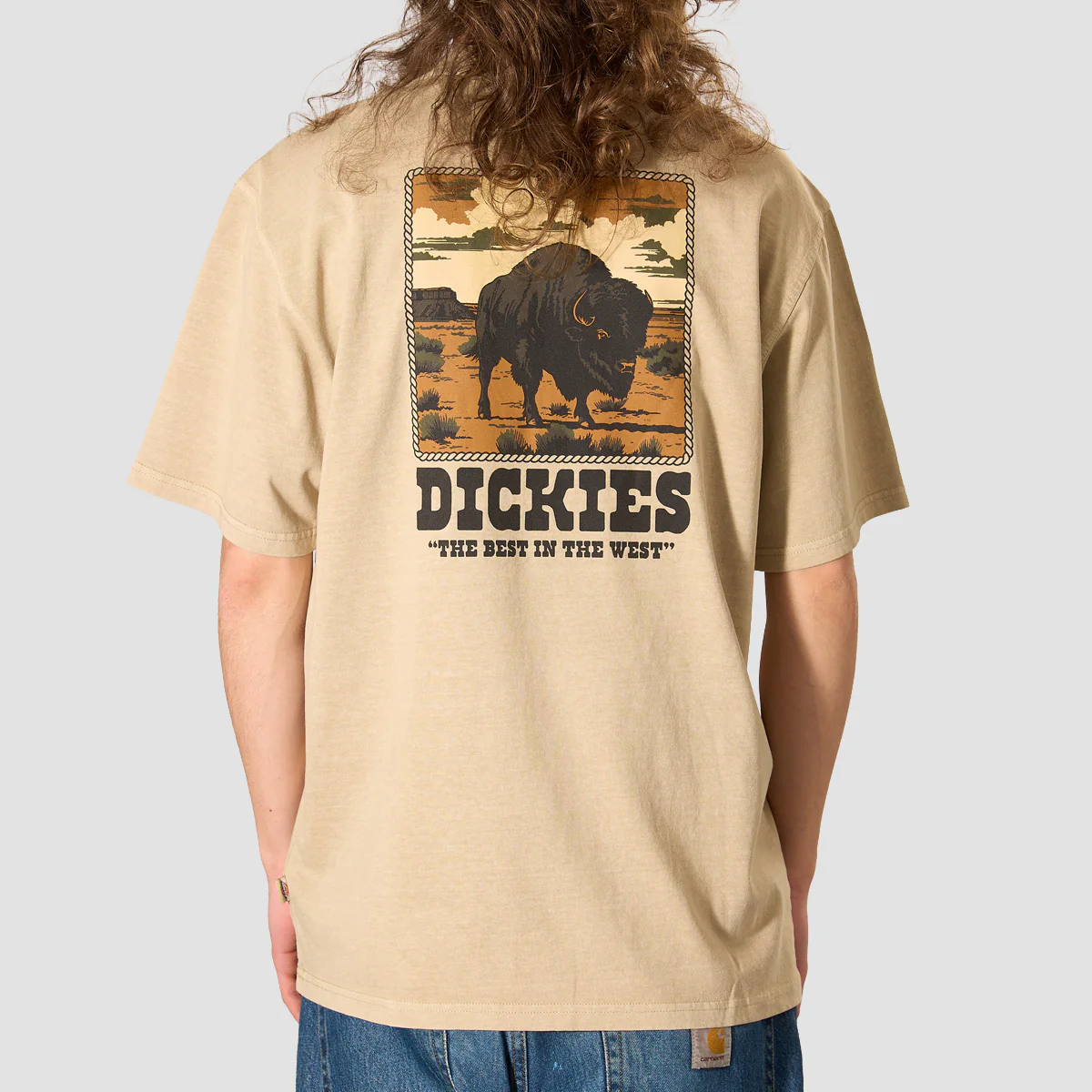 Dickies Darrtown T-Shirt Eucalyptus - Image 2