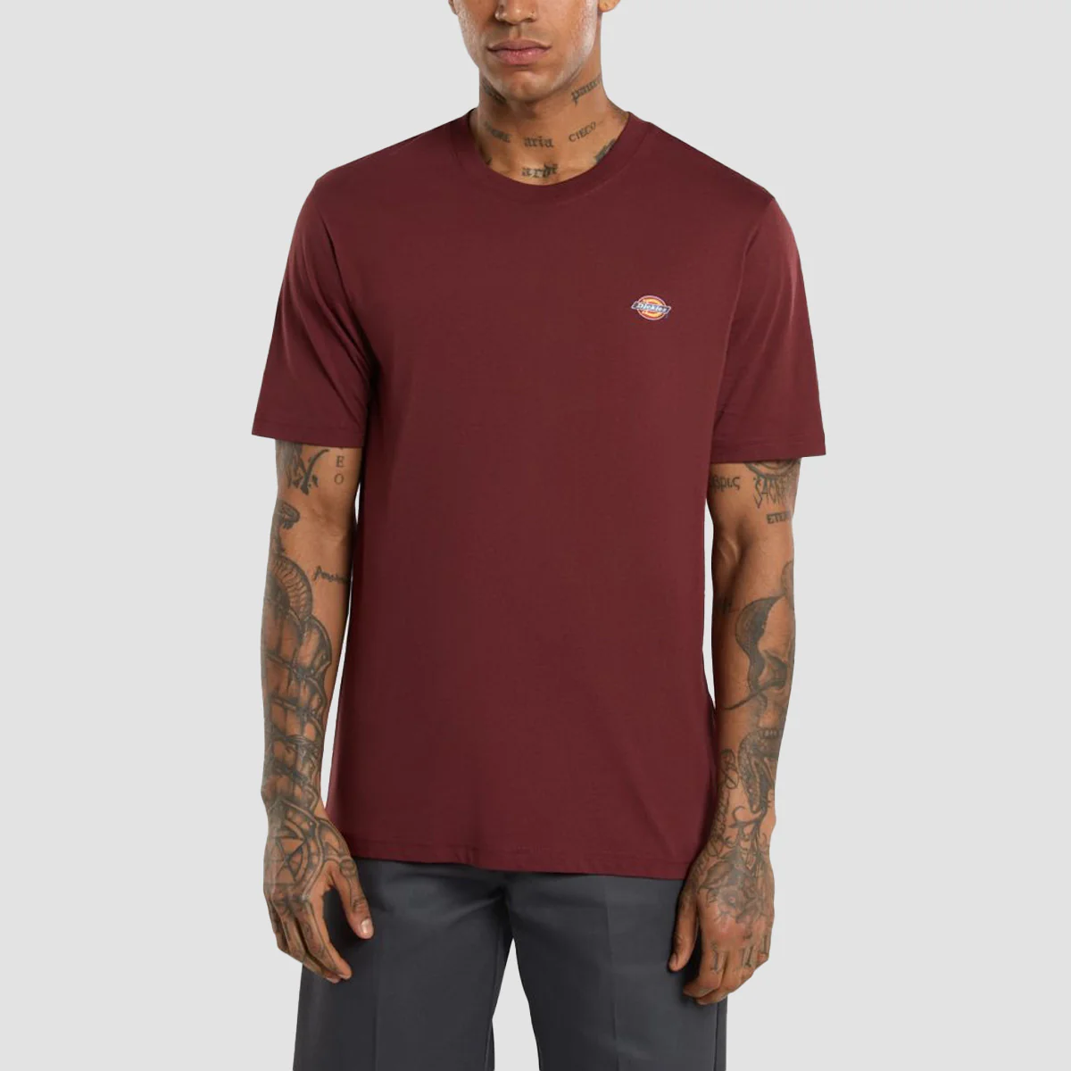 Dickies Mapleton T-Shirt Andorra