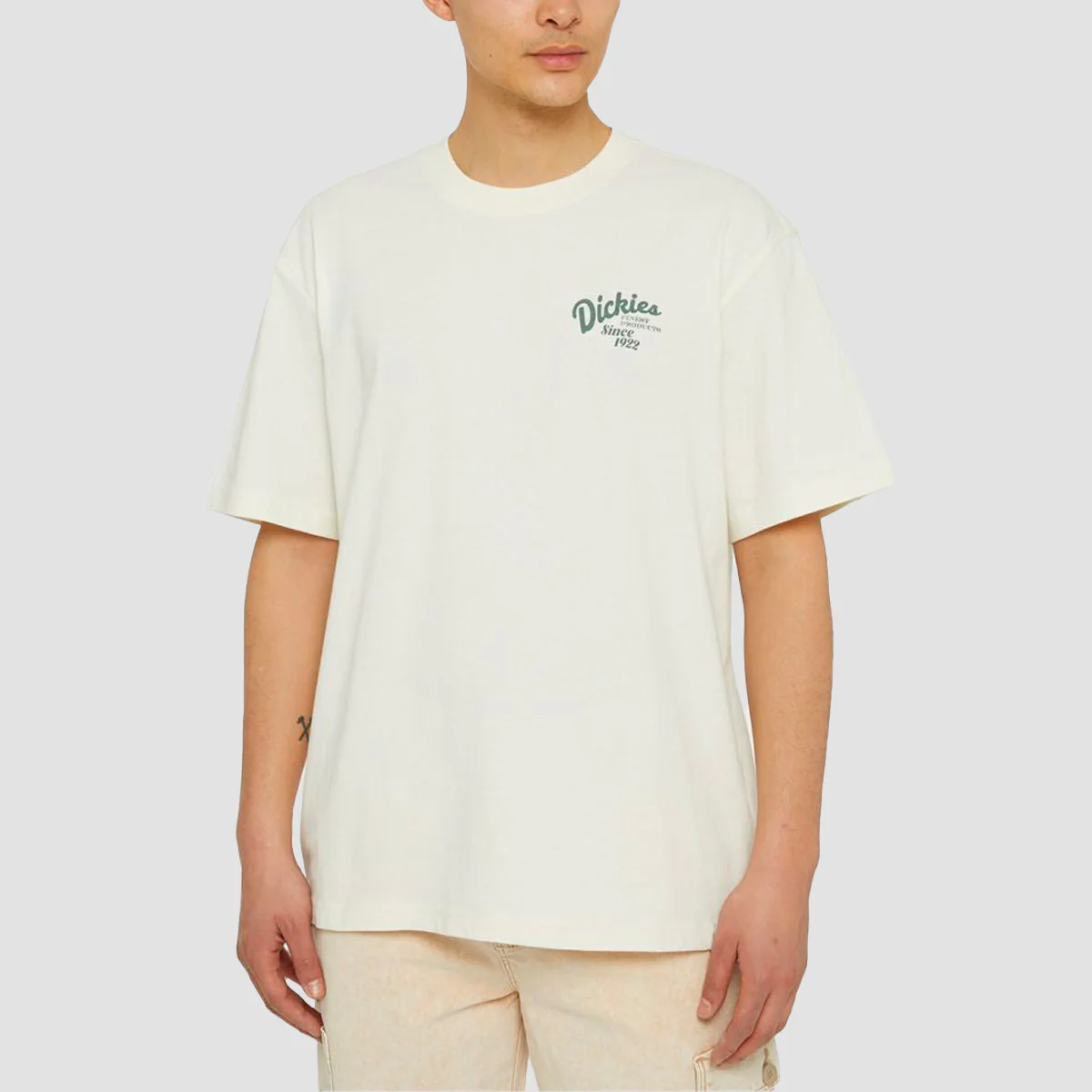 Dickies Raven T-Shirt Cloud - Image 2