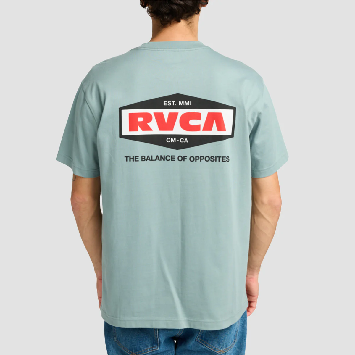 RVCA Logo T-Shirt Lead - Image 2