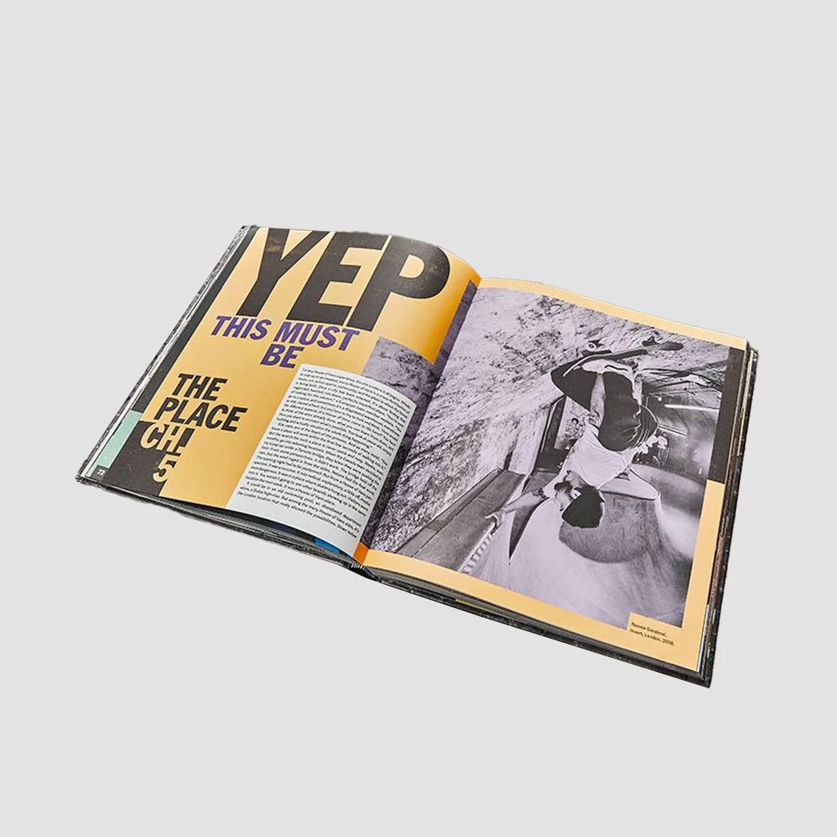 Vans House Of Vans Book: If These Walls Could Talk Multi - Image 2